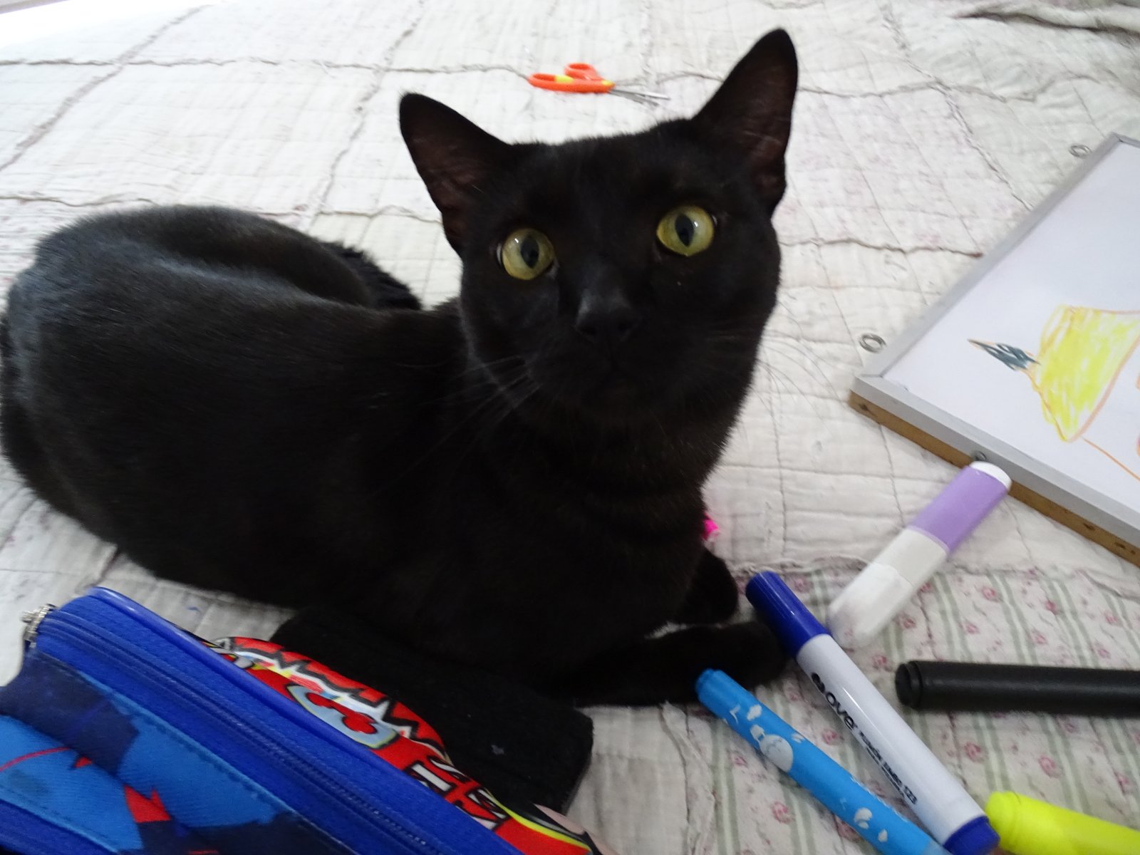 Tamara 957276505, la rica peruana que te dará el mejor sexo oral delicioso.